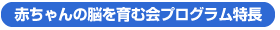 赤ちゃんの脳を育む会プログラム特長