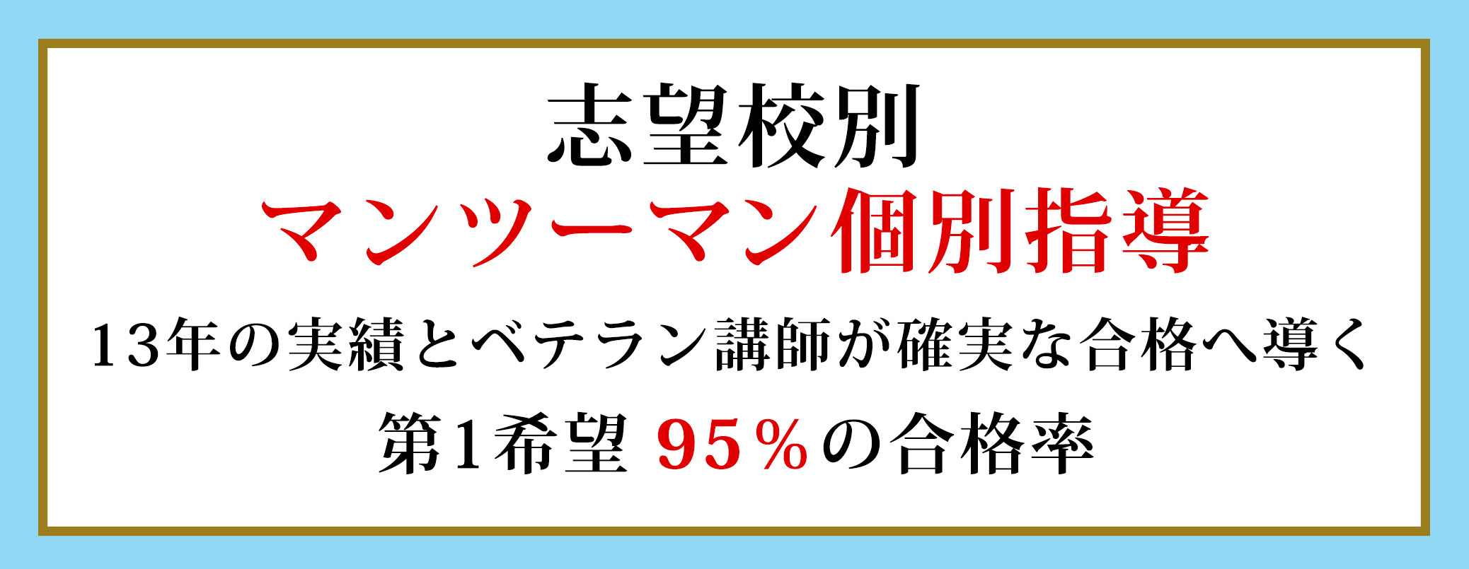 志望校別 マンツーマン個別指導