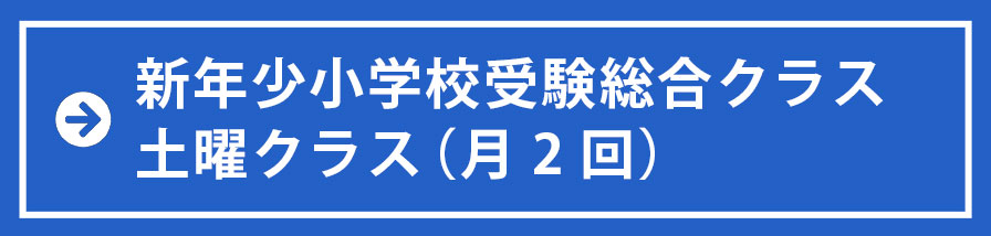 新年少小学校受験総合クラス　土クラス（月2回）