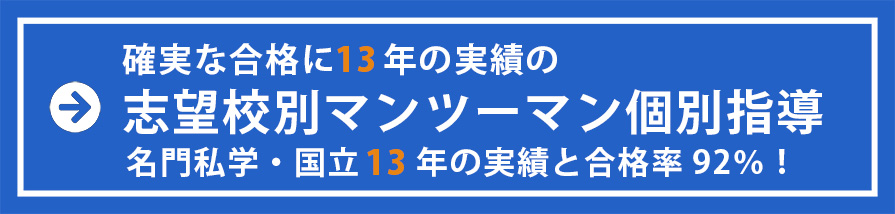 志望校別マンツーマン