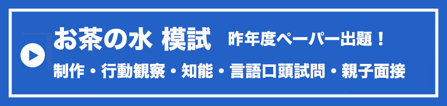 お茶の水合格対策仕上げそっくり模試