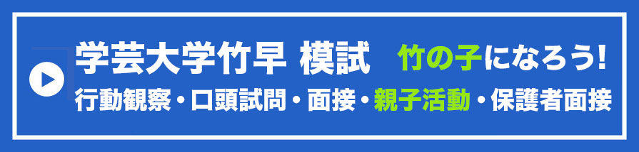 学芸大 竹早・世田谷・大泉
合格対策仕上げそっくり模試